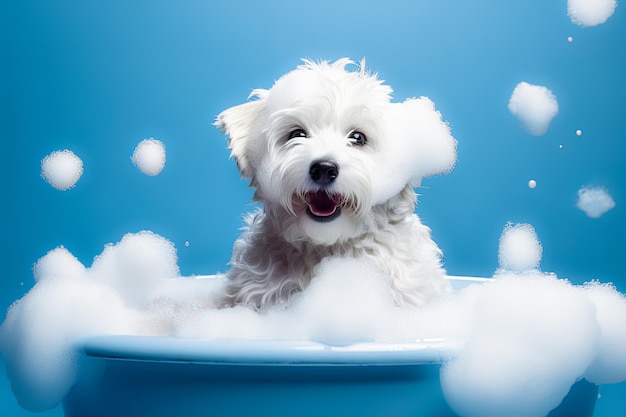 Cachorro divertido sentado en la bañera esperando la pancarta de aseo para la tienda de mascotas salón de aseo generativo ai
