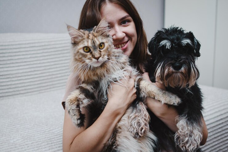 cachorro e um gato nas mãos de seu dono