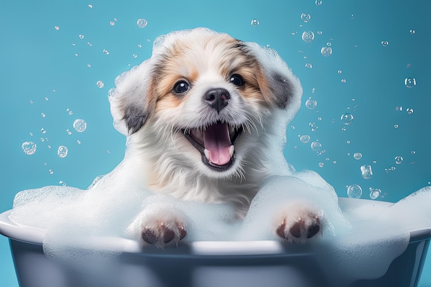 Cachorro engraçado sentado na banheira esperando para ser arrumado banner para salão de arrumamento de loja de animais de estimação ia generativa