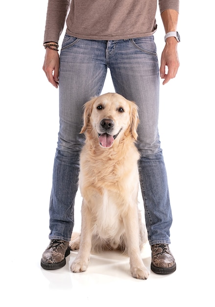 Cachorro entre as pernas de sua amante em fundo branco