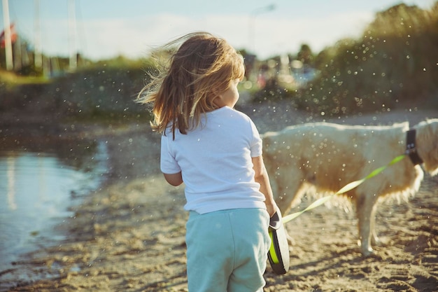 Cachorro espirrando água no bebê depois do banho na praia ao pôr do sol