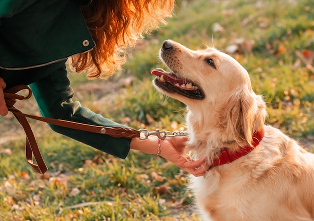 Cachorro feliz e seu dono no parque em um dia ensolarado