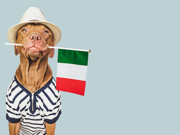 Cachorro fofo e bandeira italiana Closeup dentro de casa Foto de estúdio Parabéns para a família entes queridos parentes amigos e colegas Conceito de cuidado de animais de estimação