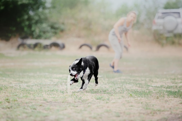 Cachorro frisbee Cachorro pegando disco voador em animal de estimação de salto brincando ao ar livre em um parque Evento esportivo achie