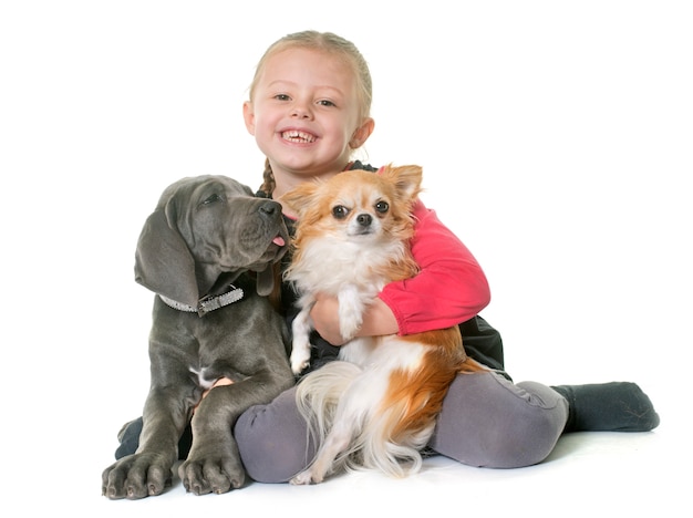 cachorro gran danés y niño