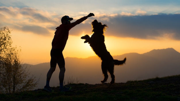 Cachorro grande, ele se levanta com duas patas para pegar um biscoito de uma silhueta de homem com fundo nas montanhas coloridas por do sol