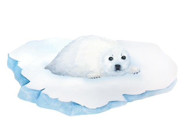 Cachorro en hielo ilustración acuarela aislado sobre fondo blanco pequeña foca blanca