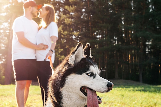 Cachorro Husky com a língua de fora olha para o lado um casal apaixonado se olha