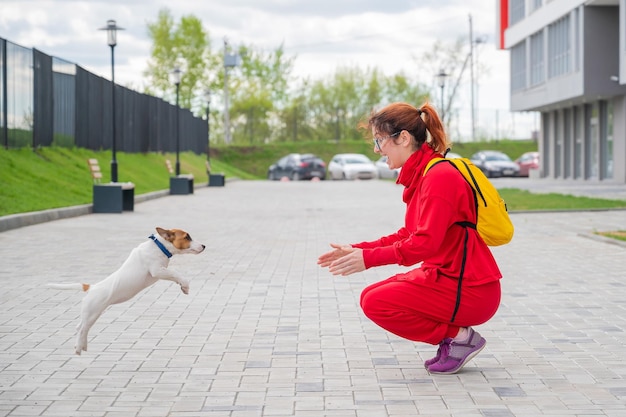 Cachorro inteligente Jack Russell Terrier juega con el dueño en la calle Un perro de pelo corto de pura raza salta a los brazos de una mujer europea en un chándal rojo En movimiento