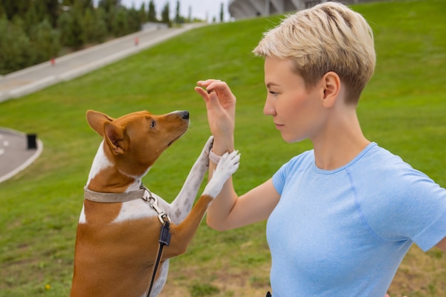 Cachorro inteligente treinado pegando comida de humano