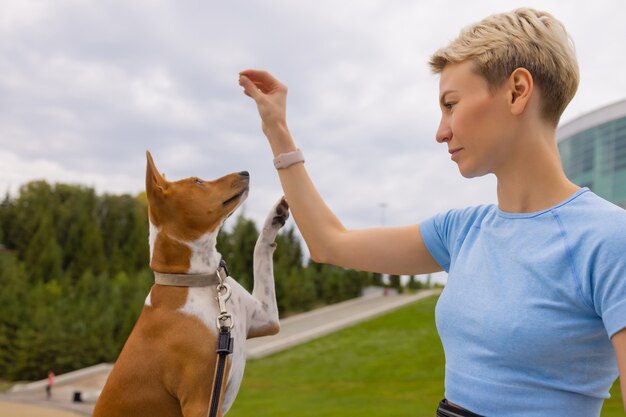 Cachorro inteligente treinado pegando comida de humano