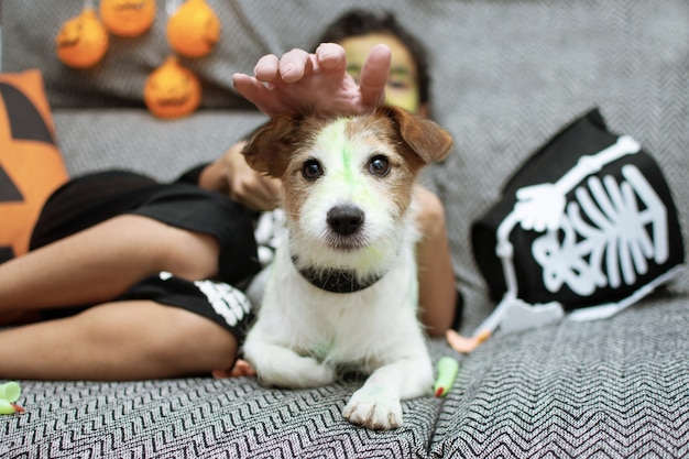 Cachorro jack russell engraçado comemorando o dia das bruxas brincando com seu filho no sofá