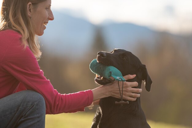 Cachorro labrador preto segurando um boneco com seu dono elogiando-a