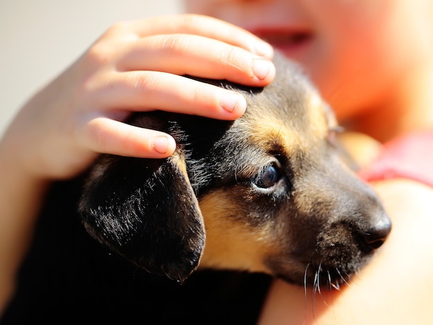 Cachorro en manos de niña