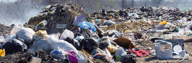 Cachorro parado no lixão entre sacos plásticos O conceito de desastre ambiental