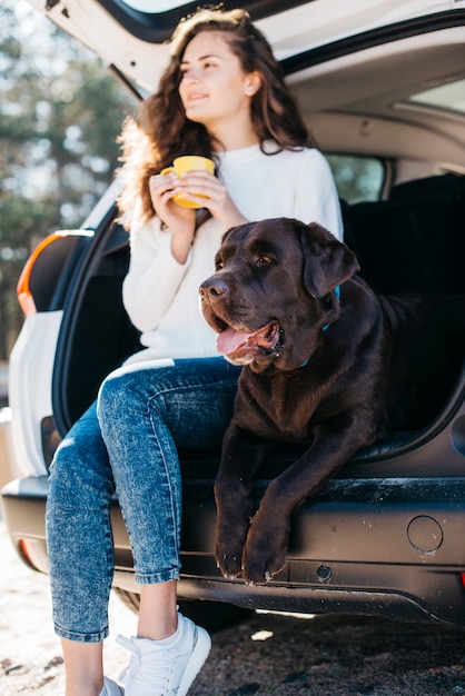 Foto cachorro preto grande no carro