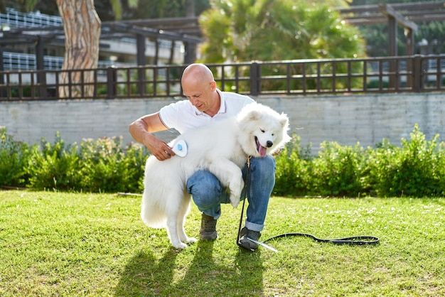 Cachorro samoiedo com seu dono no parque brincando juntos