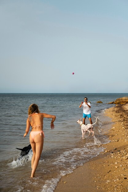 Cachorro se divertindo na praia