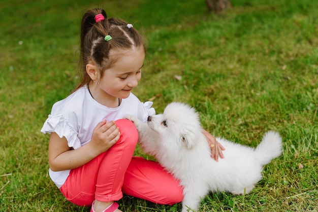 Cachorros Pomsky Brancos estão brincando com uma garotinha ao ar livre no parque