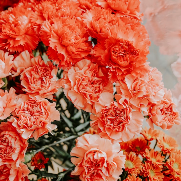 Cachos de flores de laranjeira em floricultura