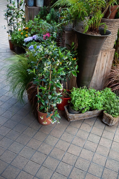 Cachos de flores e plantas em frente a uma floricultura