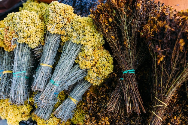 Cachos de flores medicinais frescas de helichrysum e hypericum