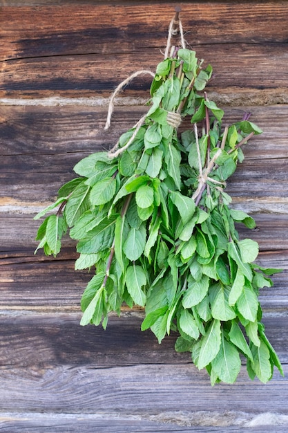 Cachos de hortelã estão pendurados para secar em uma parede de madeira