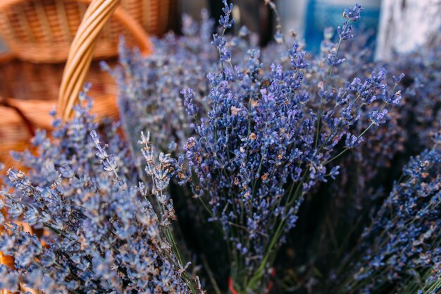 Cachos de lavanda aromática roxa fresca na loja de presentes