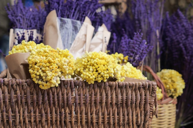 Cachos de Lavanda Seca Fechados