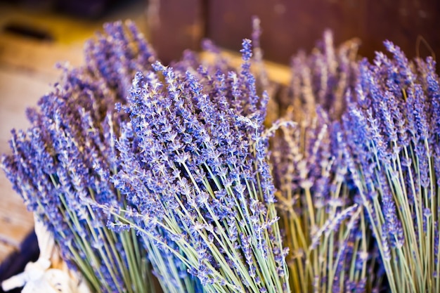 Cachos de lavanda vendendo em um mercado francês ao ar livre