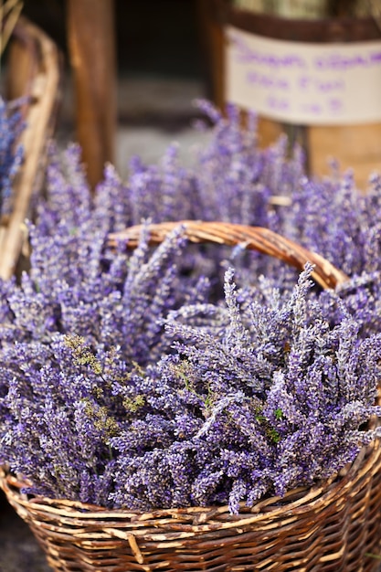 Cachos de lavanda vendendo em um mercado francês ao ar livre