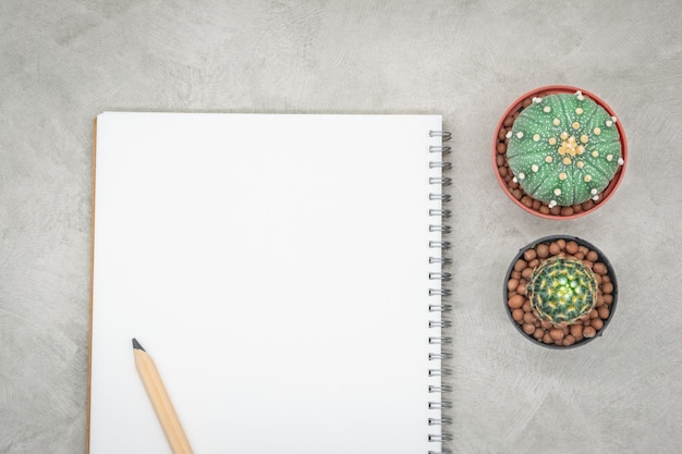 Cacto, caderno e lápis sobre a mesa de escritório, fundo de concreto cinza, lay plana