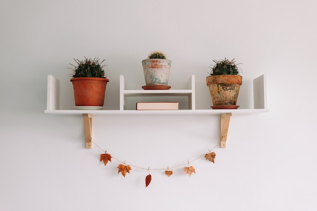 Cacto com design de interiores moderno e minimalista em vaso de flores e folhas de outono