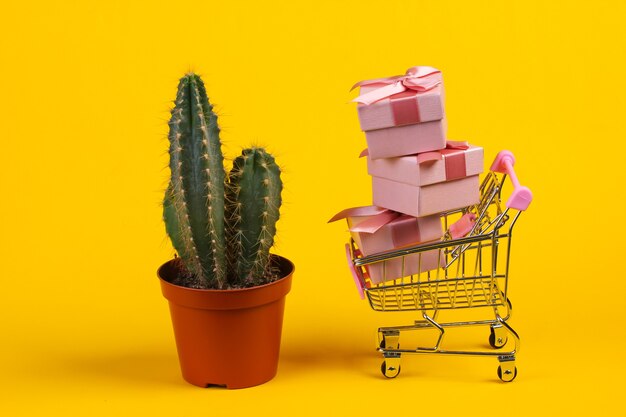 Cacto em vaso e carrinho de compras com caixas de presente em estúdio amarelo