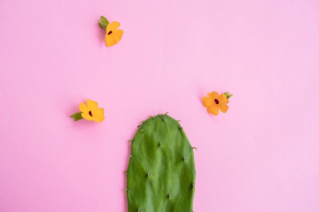 Cacto verde e flor amarela isolada em fundo rosa, ideia de conceito mínimo.