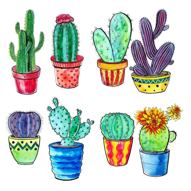 Cactos aquarelados em fundo branco em vasos ilustração de suculentas Design de impressão têxtil