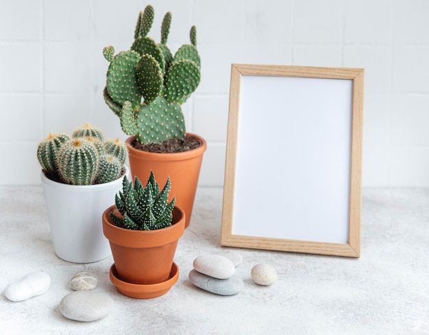 Foto cactos e plantas suculentas em vasos e moldura de cartaz na mesa