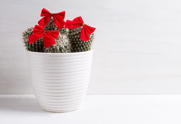 Foto cactus con adornos navideños, concepto de año nuevo y vacaciones.