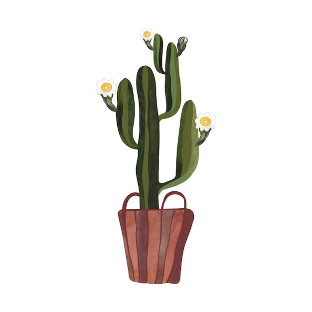 Cactus en una canasta de mimbre plantas para el hogar floricultura decoración interior acuarela aislada