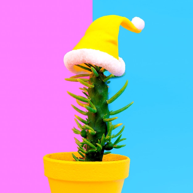 Cactus como árbol de navidad hipster con sombrero de santa. Concepto de Navidad tropical
