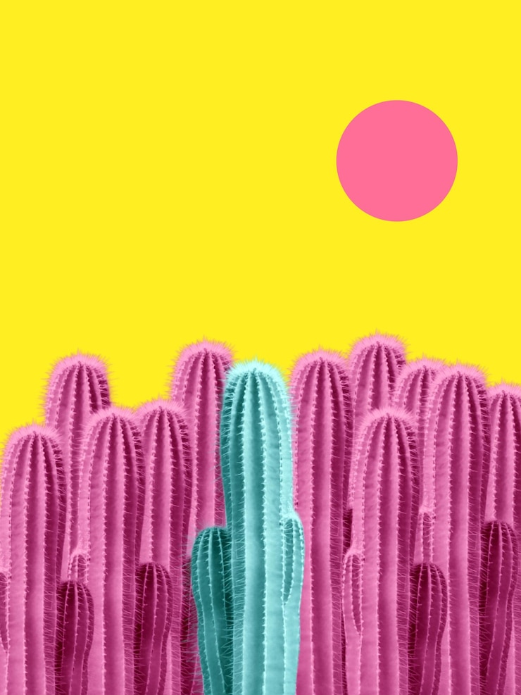 Foto cactus creative pop art colagem de fundo colorido copiar espaço design post banner flyer anúncio