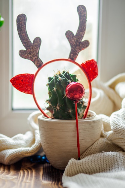 Cactus con cuernos de reno navideño y nariz de reno de Papá Noel