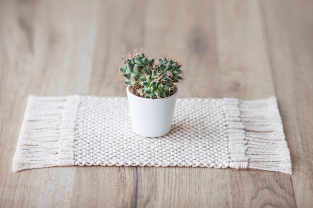 Cactus em pote no tapete de tapete de fio de algodão natural na mesa de madeira rústica. Estilo eco com planta verde. Macrame moderno feito à mão. Conceito de decoração para casa de malha