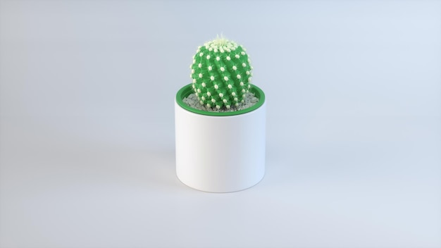 Foto cactus en forma de bola en una olla blanca con bordes verdes en un fondo de estudio gris suave minima