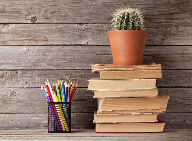 Foto cactus en libros antiguos y lápices de colores.