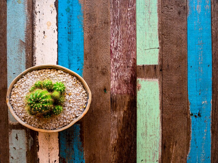 Foto un cactus en maceta en una colorida mesa de madera