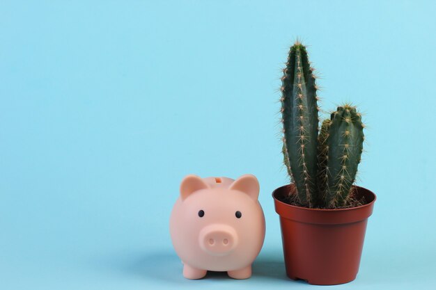 Cactus en maceta y hucha en estudio azul