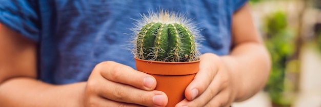 Cactus en manos del niño. niño pequeño abrazando su planta de interior cactus BANNER formato largo