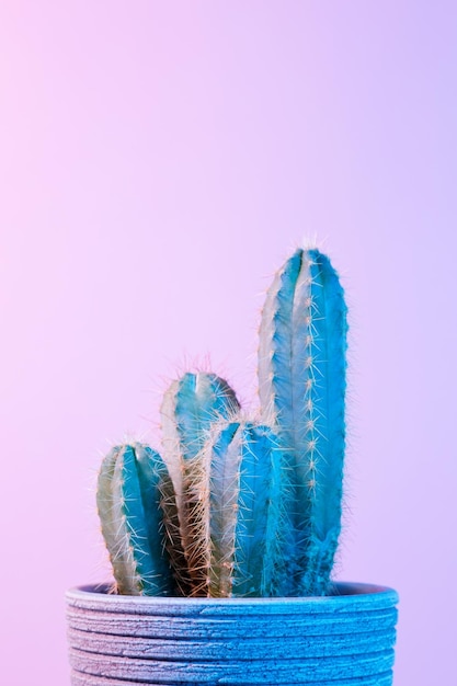 Cactus de neón Cactus verde en maceta gris sobre fondo rosa Bodegón creativo mínimo