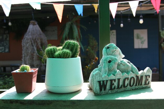 Foto un cactus en una olla en un estante del patio trasero